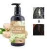 Private Label Sulfate Free Herbal Natural Organic Ginger Shampoo Set Anti Hair Loss Growth Shampoo And Conditioner