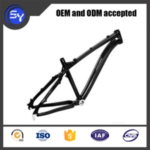 Professional custom OEM Bicycle Frame