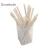 Import Professional saloon hair steamer 6mm paper straws white from China
