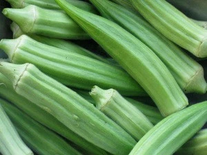 Quality Fresh Okra (Lady Finger) Now Available for Export on 30% Discount Sale
