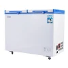 RAGGIE  268L Solar  Freezer DC 12V Commercial Chest Freezer