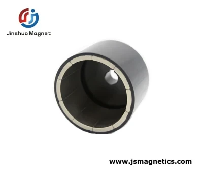 Rare Earth Magnets and Magnetic Assemblies for Motors Neodymium Rotor Magnetic Assembly