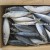 Import raw material of frozen whole pacific mackerel and saba mackerel from China
