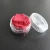 Import Ready to ship acrylic nail supplies glitter pigment with MSDS from China