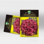 red vegetable seeds Purple lettuce seed for planter