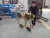 Import Remote Control Glass Vacuum Lifter Robot from China