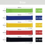 Resistance Exercise Bands for Home Fitness, Stretching, Strength Training, Physical Therapy, 5 packs Resistance Loop Bands