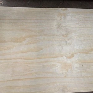 Rotary Cut Pine Plywood Wood Timber To Mexico Market