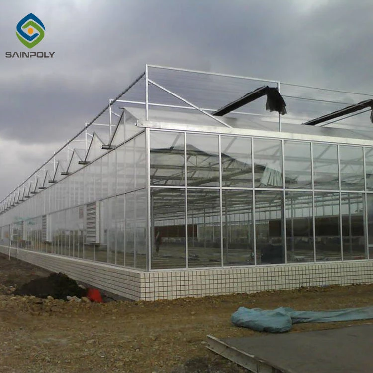 Sainpoly cheap agriculture multi-span glass greenhouse hydroponic greenhouse