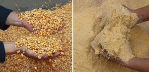 sale High quality Crop crusher corn maize powder crusher machine  crops flour mill
