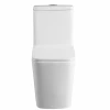 Sanitary wares white One Piece square washdown toilet in chaozhou