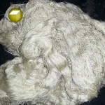 shiny silk yarn in top quality for knitting and weave