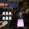 Simple design remote control Led Table Lamp