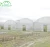 Import Single-span Greenhouse Plastic Film Agriculture Greenhouse Factory Direct Supply Hydroponics Greenhouse for Sale from China