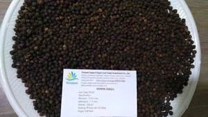 Single Spices Black Pepper with Vietnam Origin
