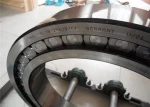 SL045020-PP Full Complement Cylindrical Roller Bearing For Precision Machine Tools Parts