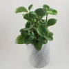 small cheap handmade white Onyx marble stone plant/large flower vases