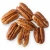 Import South Africa High quality pecan nuts for sale in shell pecan nuts price from South Africa