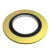 Import Spiral Wound Gasket from China