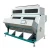 Import Stainless Steel Optical Color Sorter For Food Grain from China