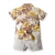 Import Summer Baby Boys Clothes Short Sleeve Leaf Print Tops Blouse T-shirt+Shorts Casual Kids Clothes Sets Fashion from China