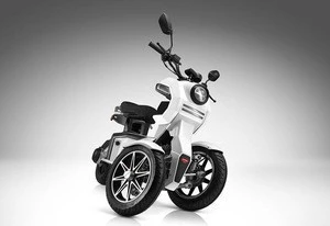Super Cool Electric 3 Wheel 60V 1500W Powerful Motorcycle, Front 2 Wheel Tank Type Electric Scooter, Racing Three Wheel Scooter