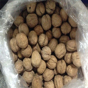 supply whole walnuts with shell in 1kg package
