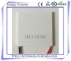 TEC1-12730 peltier 62 * 62mm Thermoelectric Cooler cell 12730 semiconductor