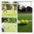 Import tennis ball machine china with artificial grass for tennis from China