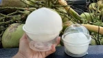 Thai Young Coconut, Frozen Meat Naked Coconut Snowball, 100% Natural Sweet Taste Coconut Water