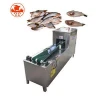 Tools and equipment in fish processing machine of cutting fish fillets