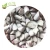 Import Top Quality Frozen Burdock Diced Organic IQF Burdock with good price from China