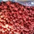 Import Top Shelf Delicious Bulk IQF Fruit Frozen Whole Raspberry for jam yogurt juice from China