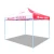 Tuoye Best Selling 3 X 3m Outdoor Canvas Gazebo