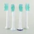 Import Universal 4 Stick Medical Toothbrush Head Professional Cleaning Electric Toothbrush Head For Adults from China