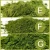 Import USDA Organic Matcha Green Tea Powder, Organic Matcha from China