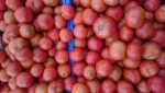 Fresh Vegetables in India