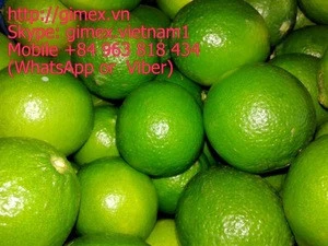 Vietnamese Fresh Seedless Lime