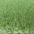 Import Waterproof Soft Artificial Grass Car Mat from China
