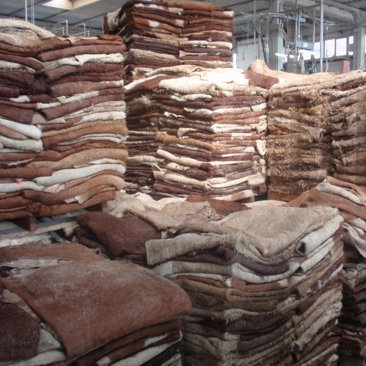 Wet Salted Donkey Hides/ Cow Hides/Sheep And Goat Skin