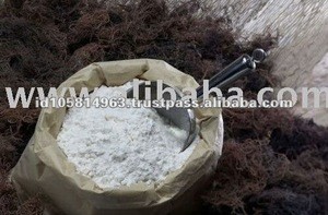 White Bag Glial Agar Agar Powder