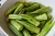 Import Wholesale Bangladeshi Vegetable Fresh Okra Price from Bangladesh