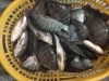 Wholesale Cheap Fresh WGS Frozen Tilapia Fish Good Sale Seafood