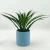 Import wholesale home decoration Plastic Artificial Plant and tree with ceramic flower pot plastic plants indoor from China