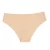 Import Wholesale Ice Silk Lingerie Womens Seamless Panties Bikini Brief Seamless underwear from China
