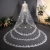 Import Wholesale new style bridal petal veil soft wedding veil 3 meters long bridal veil from China