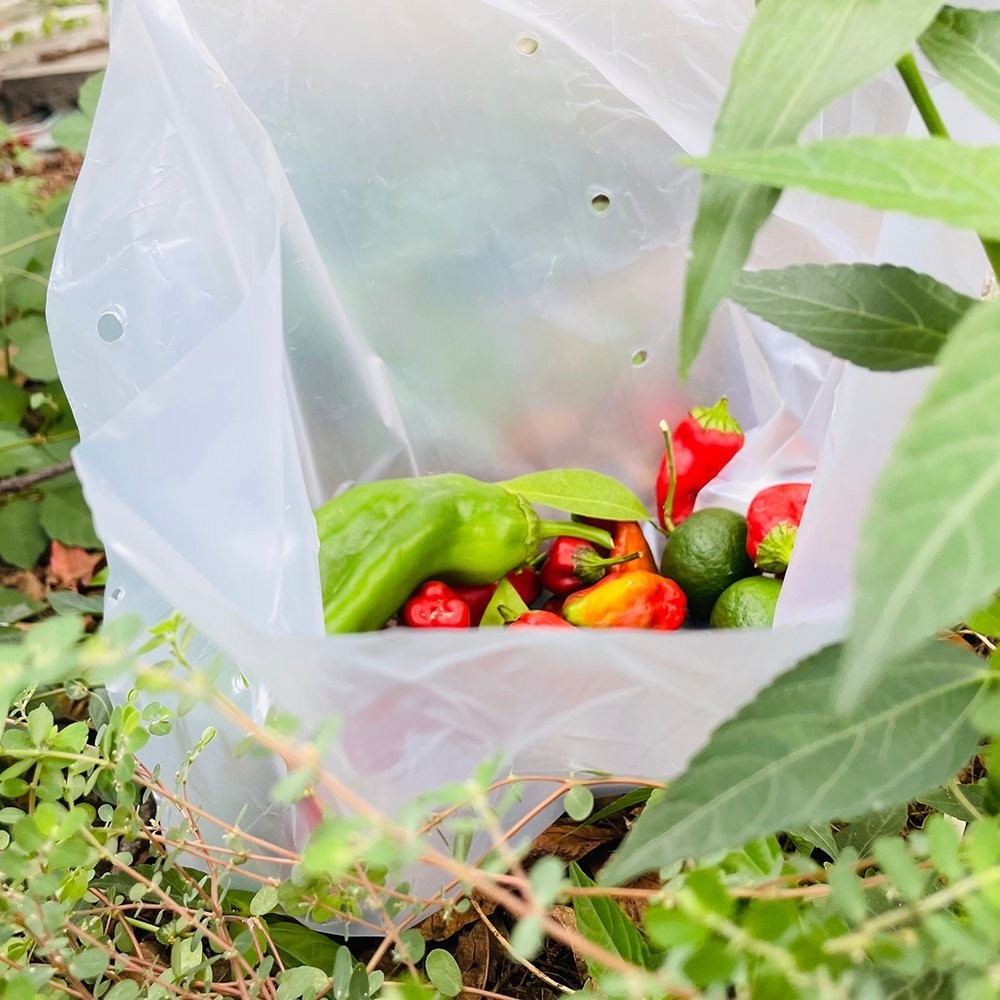 Wholesale Vegetable Eco-Friendly Biodegradable Bag