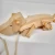 Import wooden Dog Pull Toy Walk Along Puppy Wooden Pull Toy Toddler Wooden Pull Along Toy from China