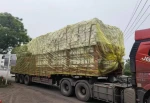 Truck Rain Mask (Car Film)
