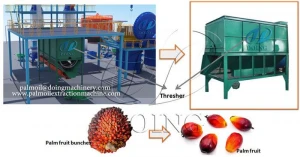 Top Class Semi-Automatic Palm Fruit Thresher in Best Price